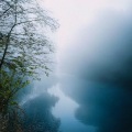 DOM - Voice of Nature