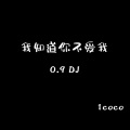 我知道你不爱我 (1coco remix)