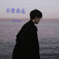 林宇墨 - 你不要走