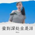 罗松兰 - 爱到深处全是泪