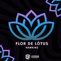 hawkins - Flor de Lótus (Explicit)