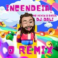 DJ Dali、MC Kevin O Chris - INCENDEIA (feat. MC Kevin o Chris)