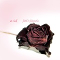 At Risk、Catherine Chuck、George Flecknell、Peter Hawkins、David Wilkinson、James Phillpotts - As Lines Blur