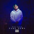FAKE NEWS (Explicit)