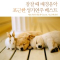 B-One Project - 참 아름다워라