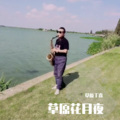 草原丁喜 - 草原花月夜