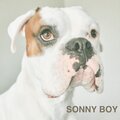 Daniel Díaz、Kelsey Cauldren - Sonny Boy (feat. Kelsey Cauldren)
