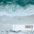 仓鼠宝宝爱吃草 - 哈哈哈