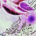 wild wing (Explicit)
