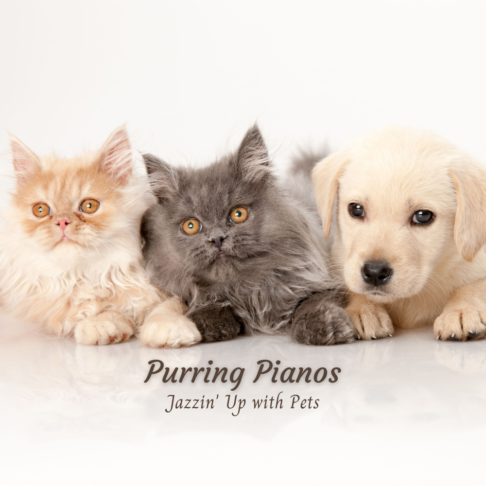#Pianoclassico、Piano Novel、Paris Jazz Bar - Furry Friends' Finale