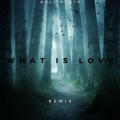 Bull Beats - What Is Love (Remix)