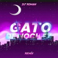 dj roman - Gato De Nochex (Remix)