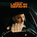 Liebe in Gefahr (Explicit)