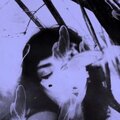 Baby Jean、Mick.E - Not here (feat. Mick.E)(Explicit)