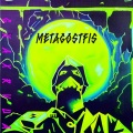 GXAXRVUA - Metagostfis