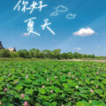 王鑫 - 这世界那么多人