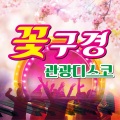 꽃구경 관광디스코