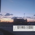 C冷、斯悠若 - 星月神话