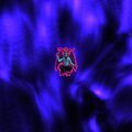 FIGHTING (Explicit)