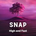 Rosi Lyn - Rosi Lyn - SNAP (High and Fast)