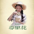 刘亦琦 - 梦里花