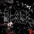 BLACK BLACK BLACK selected by Hikari Minase (Explicit)