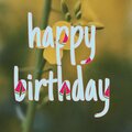 VANFN - HAPPY BIRTHDAY