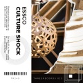 Essco - Culture Shock