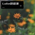 luke - 影子