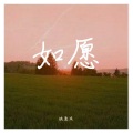 姚意浓、hoshinoakira - 如愿