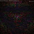 Overthrown (Continuation)