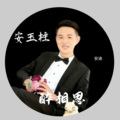 安玉柱 - 醉相思