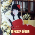 碧海蓝天 - 樱花(日本民谣)