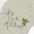 我在荒漠种花朵