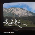 薛朋朋、古文豪、左文正 - 去年夏天
