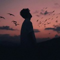 Palpit - Chance