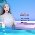 美丽的四川 (DJ 喜乐版)