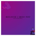 McBlueBerry - Because I miss you