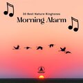 Mindfulness Meditation Music Spa Maestro、Forest Winstone - Feeling the Sun in the Morning