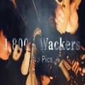 Yahhaw、No Pics - 1-800-WACKERS (feat. NO PICS)(Explicit)