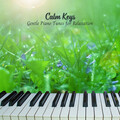 Calm Keys: Gentle Piano Tunes for Relaxation