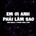 Qinn Media、Duong Minh Tuan、DC Tam - Em Ơi Anh Phải Làm Sao (Lofi Ver)