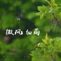 微风细雨