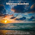 Meeresrauschen Benno Jänicke、Naturgeräusche、Meeres Rauschen - Grandiose Zeiten