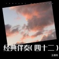 王德亮 - 雪中情