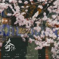 燕南栖、云祁、海芋、Lorien、锦弈 - 奇怀