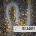 费哲灏 - 雪 Distance