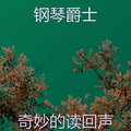 奇妙的读回声