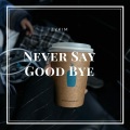 Never Say Good Bye (0.8X)