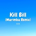 Kayhin - Kill Bill (Marimba Version)